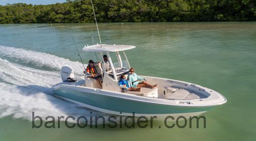 Boston Whaler 250 Dauntless ficha tecnica 